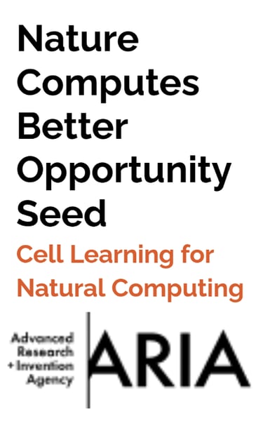 ARIA Cell Learning for Natural Computing
